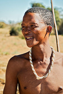 Some anthropologists refer to Bushmen as "gracile," which means they are a little shorter than average Europeans and not stockily built