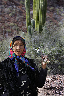 Dona Ramona of the Seri Indians of Sonora, Mexico