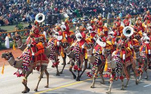 A special BSF Camel contingent, Republic Day Parade in India.